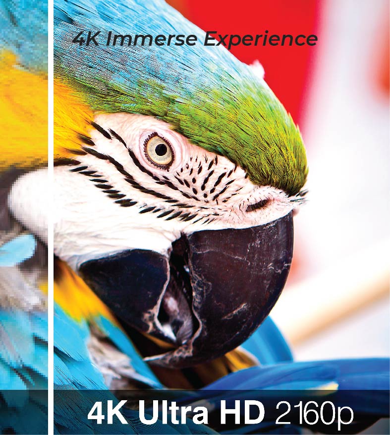 4k immerse
